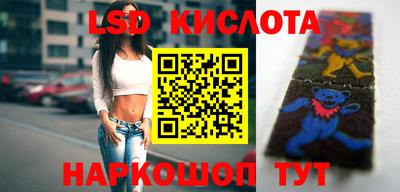 ГАЛЛЮЦИНОГЕННЫЕ ГРИБЫ Новозыбков