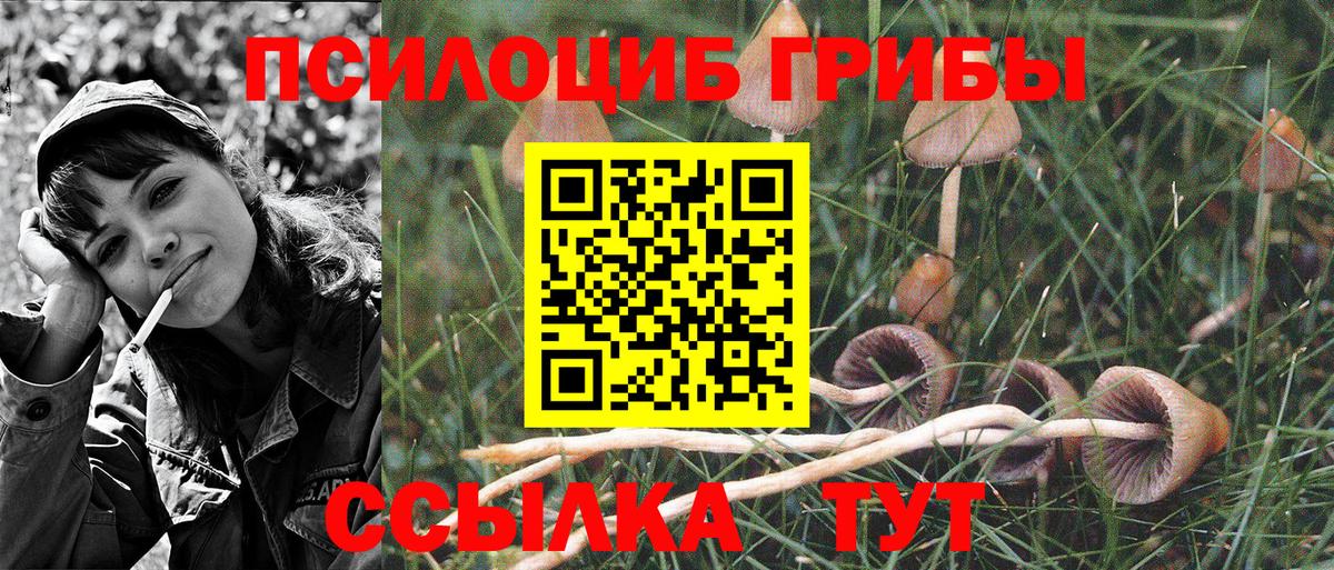 Псилоцибиновые грибы GOLDEN TEACHER Тулун